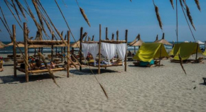 Daniela Apartment - Mamaia Summerland